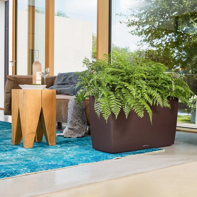 le_cararo_product_addi_05